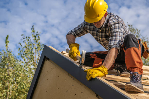 Best Skylight Installation and Repair  in Blanchard, OK